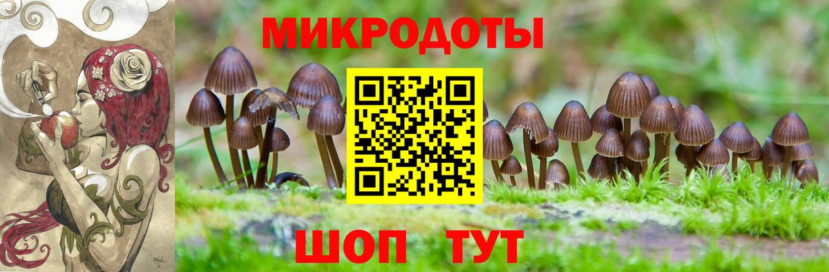 Петропавловск-Камчатский  Галлюциногенные грибы Magic Shrooms  Вход с VPN 